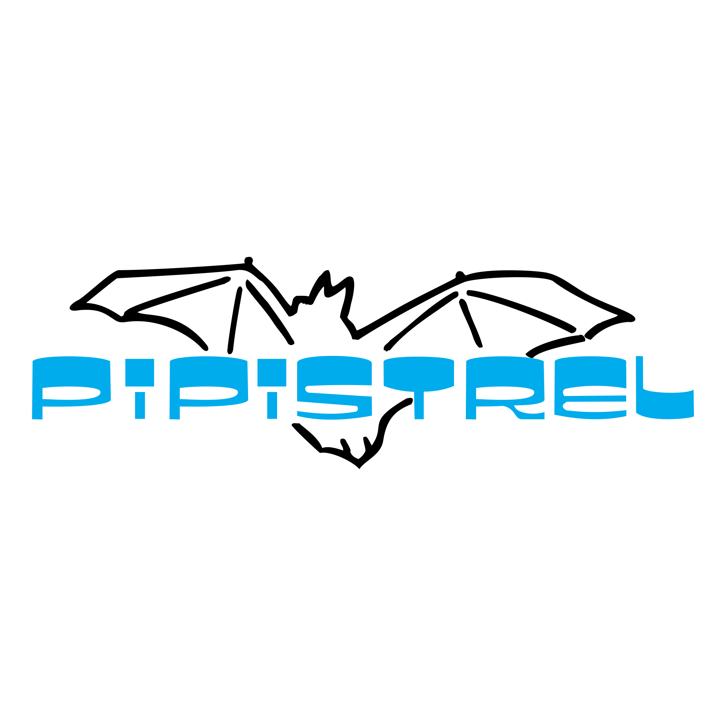 Pipistrel
